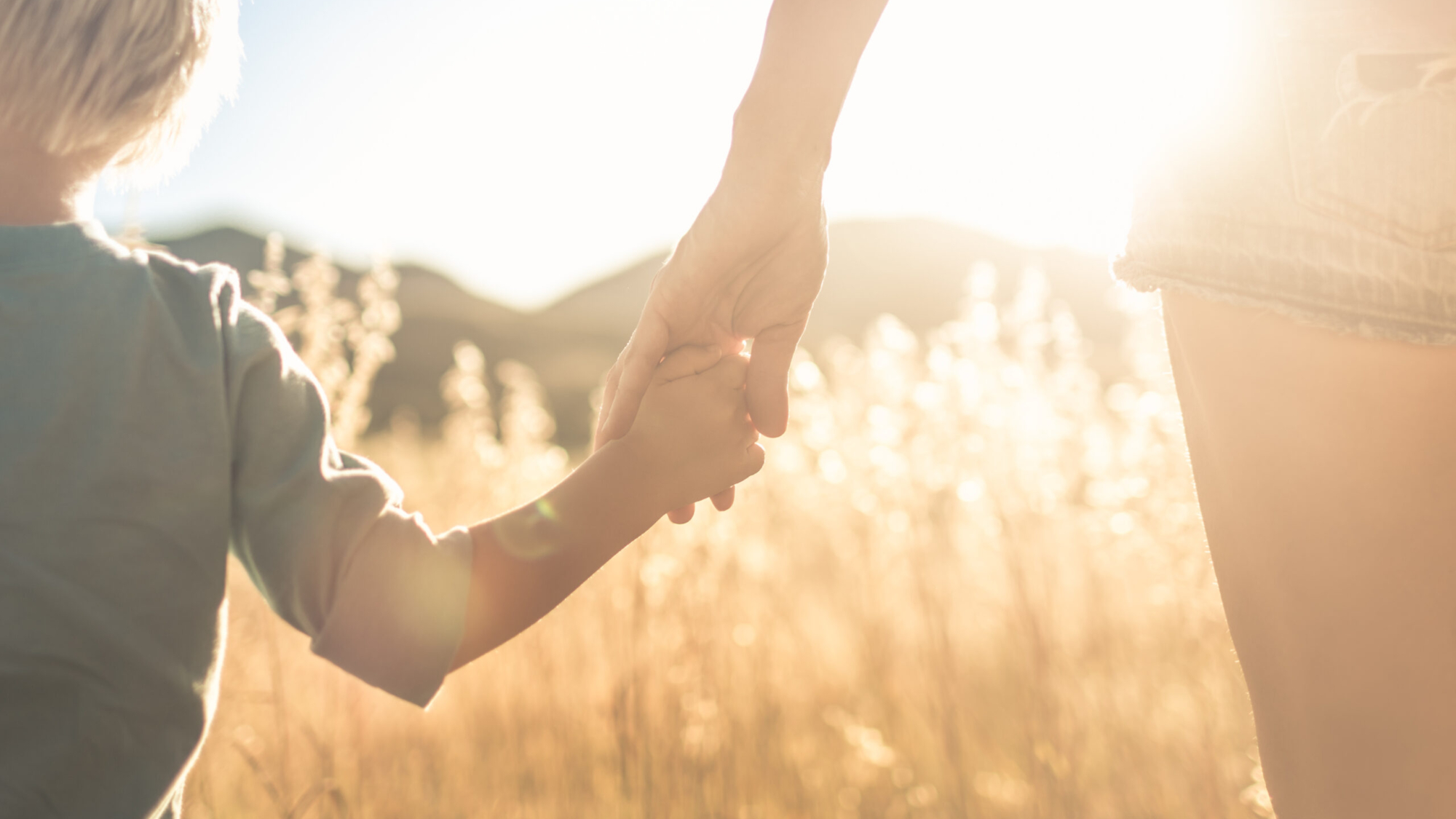 Image of a school drop-off: “Mother watching her middle school son walk into school on the first day with a smile, feeling proud and emotional.” Image of a calm morning at home: “Peaceful, stress-free morning routine before the first day of school.” Image of a parent and child holding hands: “Single mom supporting her strong-willed son with love and understanding.” Image of a child’s backpack at the front door: “Backpack ready for the first day of seventh grade, symbolizing a new chapter.” Image of a parent smiling through tears: “Parent crying tears of joy after a successful and calm school drop-off.” Image of a journal and coffee cup: “Parent reflecting on a parenting milestone over morning coffee.”